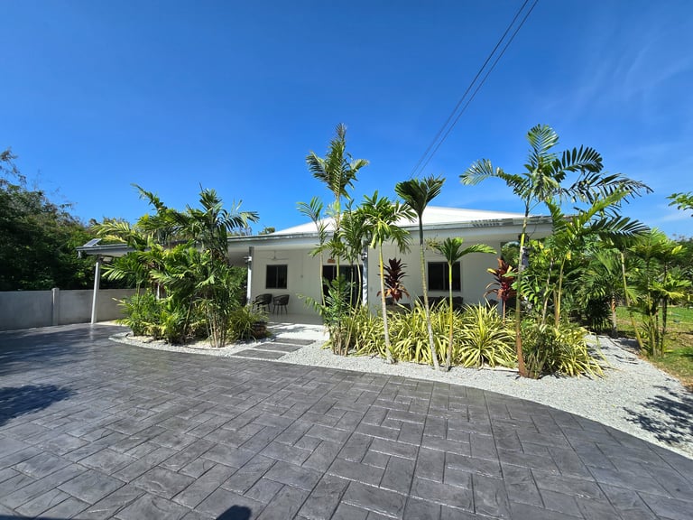 Modern tropical home with clean windows and lush greenery